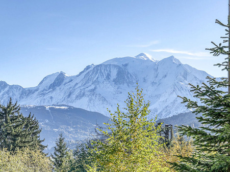 vente terrain Combloux