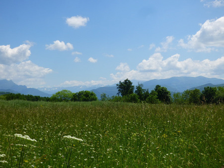 vente terrain Montréjeau