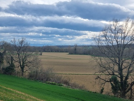 vente terrain Auch