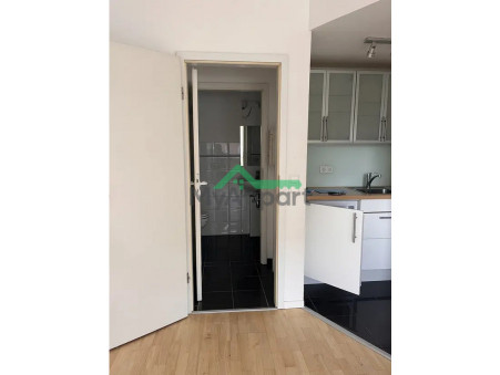 location appartement Paris 15eme arrondissement