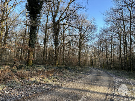 vente terrain Sancerre