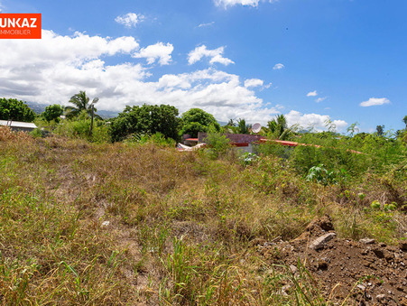 vente terrain Saint-pierre