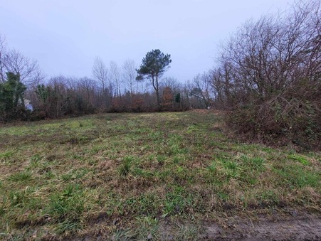 vente terrain Semoussac