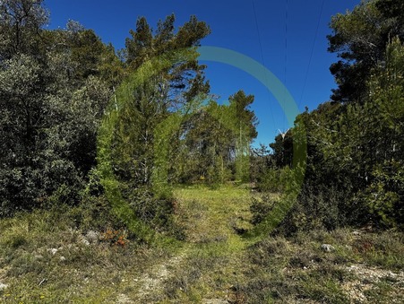 vente terrain Saint paul en foret
