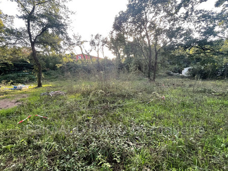 vente terrain Grimaud
