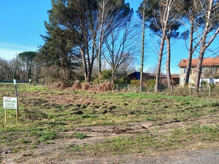 vente terrain Laluque