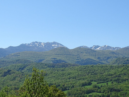 vente maison Leychert