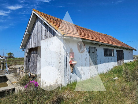 vente terrain Arvert