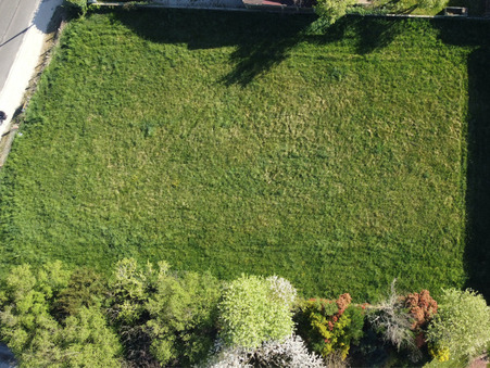 vente terrain Tournus