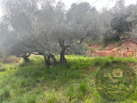 vente terrain Le luc