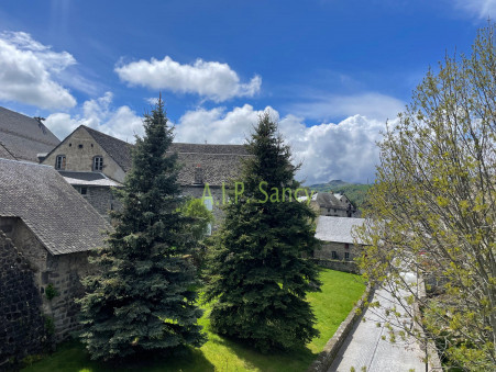 vente appartement Besse et st anastaise