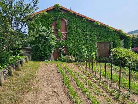 vente maison Saint-victor-sur-rhins