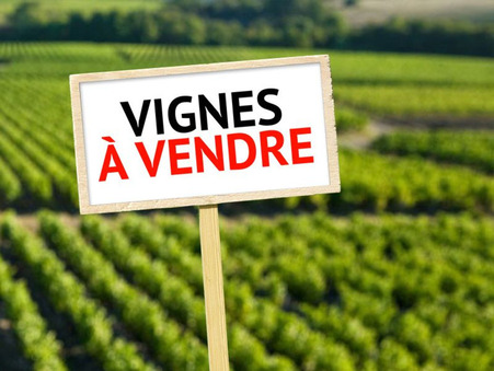 vente terrain Llupia