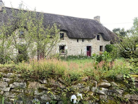vente maison pluvigner