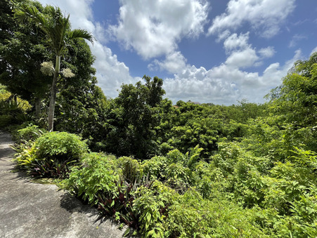 location maison Gosier