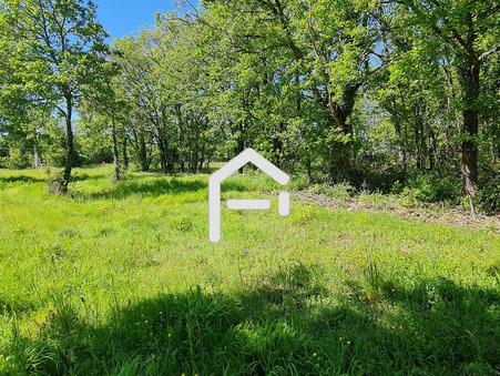 vente terrain Souillac