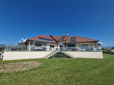 vente maison Belley