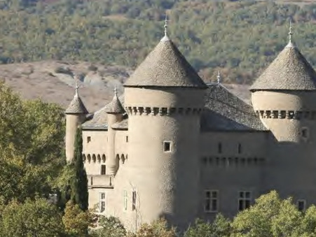 vente chateau Riviere sur tarn