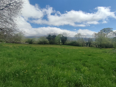 vente terrain Ruffieu