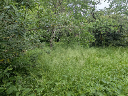 vente terrain Magné