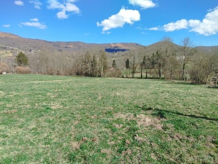 vente terrain Massat