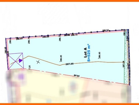 vente terrain Pizay