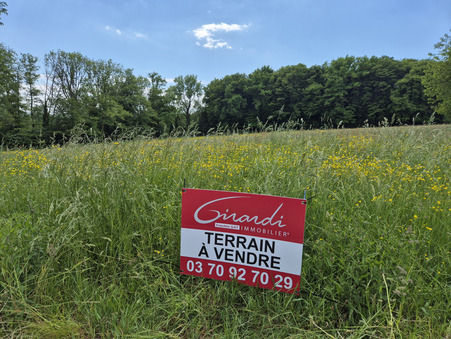 vente terrain Phaffans