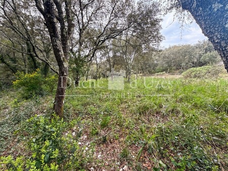 vente terrain Saint-maximin