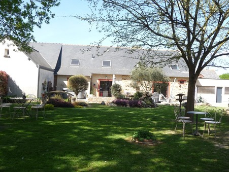 vente maison domagné