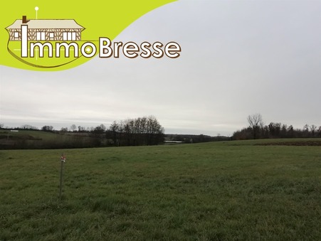 vente terrain Saint-trivier-de-courtes