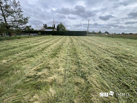 vente terrain Longages
