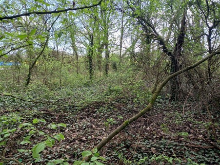 vente terrain Lessard-en-bresse