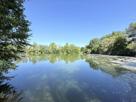 vente terrain Foëcy