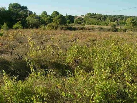 vente terrain Clermont l'herault