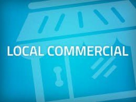 vente local LE GRAU DU ROI  214 680€