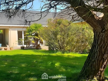 vente maison chalonnes-sur-loire