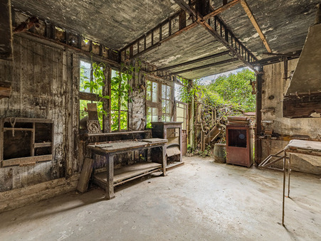 vente maison Roques