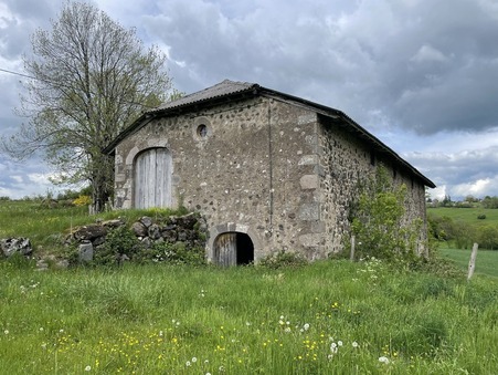 vente maison Carlat
