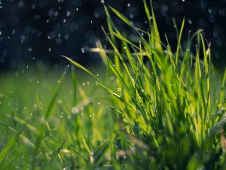 vente terrain Villaines sous bois