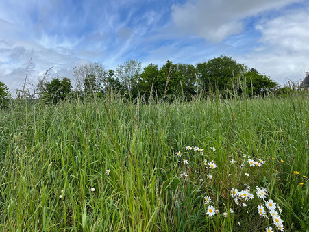 vente terrain Loperhet
