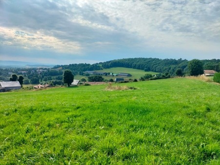 vente terrain Saint flour