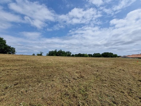 vente terrain Habas