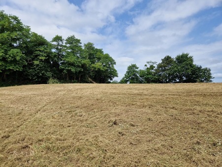 vente terrain Habas