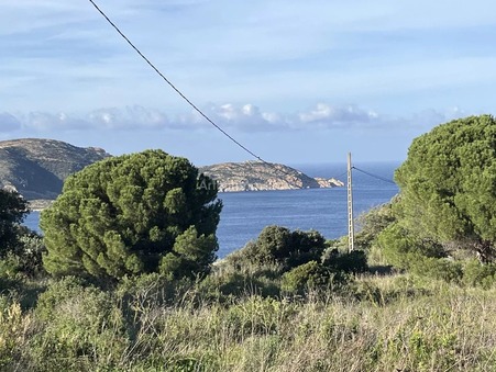 vente terrain Calvi