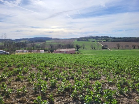 vente terrain Puycasquier