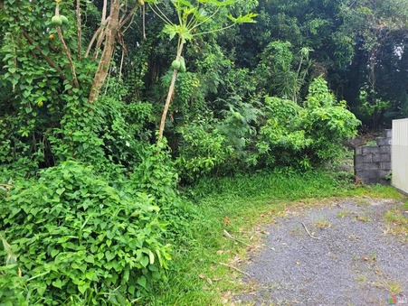 vente terrain Sainte anne