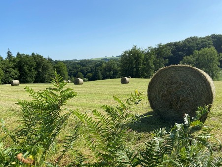 vente terrain Vigeois