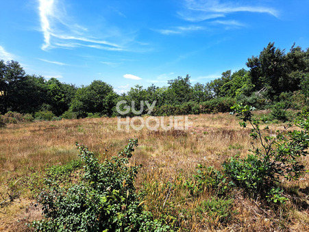 vente terrain Campeneac