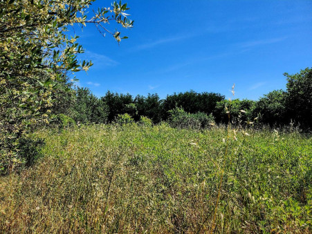 vente terrain Cassagnoles