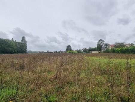vente terrain Courlon sur yonne